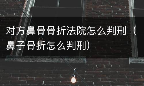 对方鼻骨骨折法院怎么判刑（鼻子骨折怎么判刑）