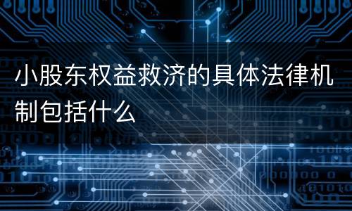 小股东权益救济的具体法律机制包括什么