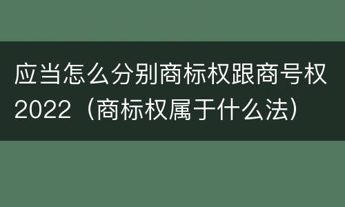 应当怎么分别商标权跟商号权2022（商标权属于什么法）