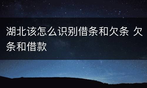 湖北该怎么识别借条和欠条 欠条和借款