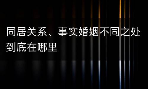 同居关系、事实婚姻不同之处到底在哪里