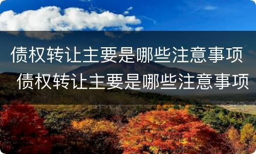 债权转让主要是哪些注意事项 债权转让主要是哪些注意事项和风险