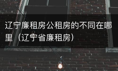 辽宁廉租房公租房的不同在哪里（辽宁省廉租房）