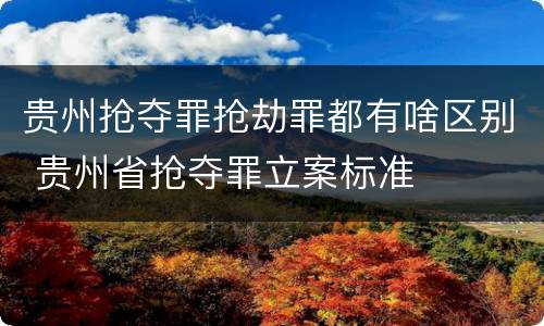贵州抢夺罪抢劫罪都有啥区别 贵州省抢夺罪立案标准