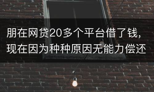 朋在网贷20多个平台借了钱，现在因为种种原因无能力偿还