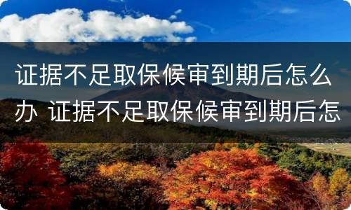 证据不足取保候审到期后怎么办 证据不足取保候审到期后怎么办手续