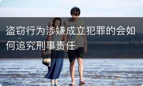 盗窃行为涉嫌成立犯罪的会如何追究刑事责任