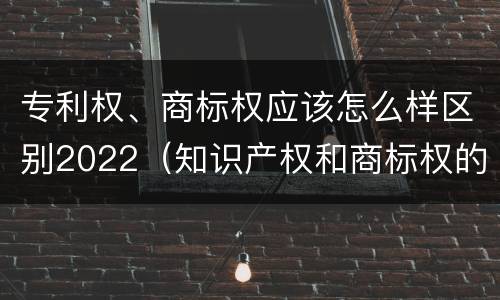 专利权、商标权应该怎么样区别2022（知识产权和商标权的区别）