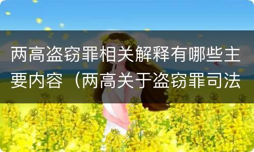 两高盗窃罪相关解释有哪些主要内容（两高关于盗窃罪司法解释的理解与适用）