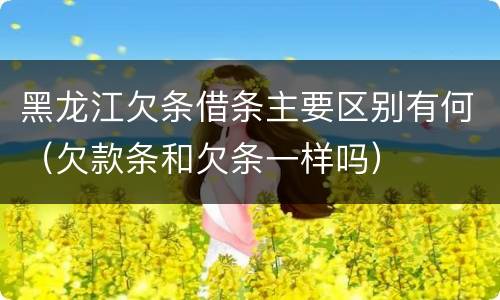 黑龙江欠条借条主要区别有何（欠款条和欠条一样吗）