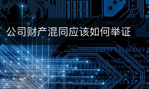 公司财产混同应该如何举证