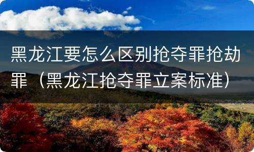 黑龙江要怎么区别抢夺罪抢劫罪（黑龙江抢夺罪立案标准）