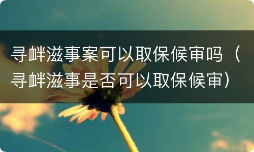 寻衅滋事案可以取保候审吗（寻衅滋事是否可以取保候审）