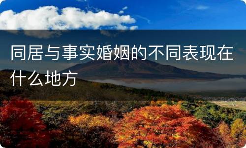 同居与事实婚姻的不同表现在什么地方