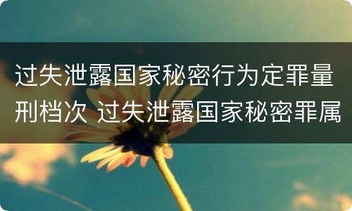 过失泄露国家秘密行为定罪量刑档次 过失泄露国家秘密罪属于哪一类犯罪
