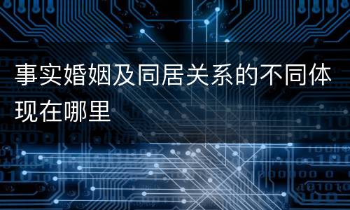 事实婚姻及同居关系的不同体现在哪里