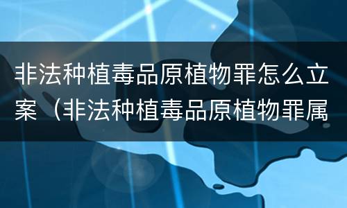 非法种植毒品原植物罪怎么立案（非法种植毒品原植物罪属于什么犯罪类型）