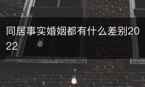 同居事实婚姻都有什么差别2022
