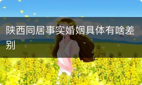 陕西同居事实婚姻具体有啥差别