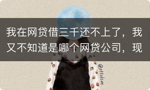 我在网贷借三千还不上了，我又不知道是哪个网贷公司，现在他们起诉我了，我会坐牢吗