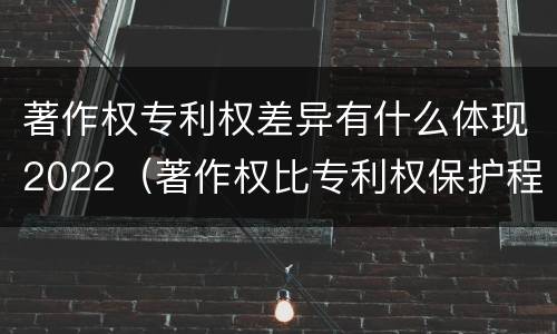 著作权专利权差异有什么体现2022（著作权比专利权保护程度低）