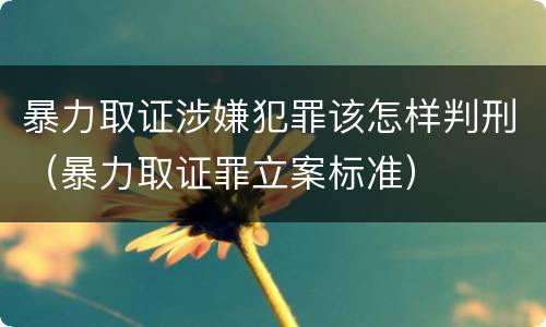 暴力取证涉嫌犯罪该怎样判刑（暴力取证罪立案标准）