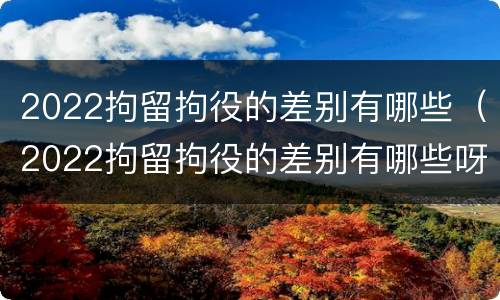 2022拘留拘役的差别有哪些（2022拘留拘役的差别有哪些呀）