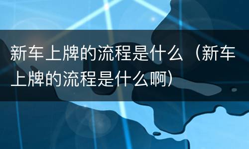 新车上牌的流程是什么（新车上牌的流程是什么啊）