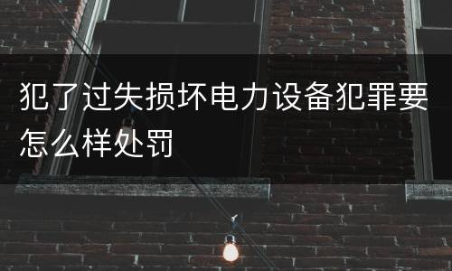 犯了过失损坏电力设备犯罪要怎么样处罚