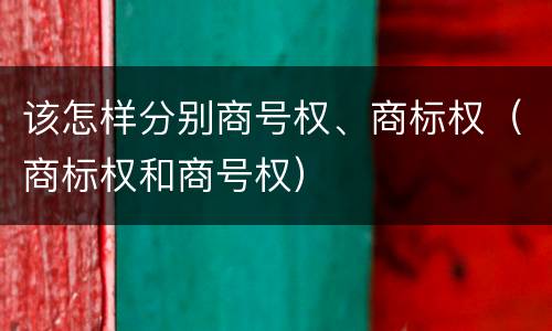 该怎样分别商号权、商标权（商标权和商号权）
