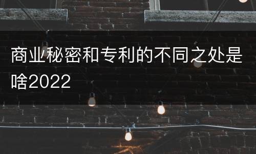 商业秘密和专利的不同之处是啥2022