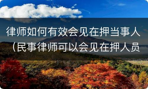 律师如何有效会见在押当事人（民事律师可以会见在押人员）