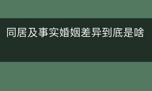 同居及事实婚姻差异到底是啥