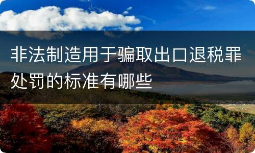 非法制造用于骗取出口退税罪处罚的标准有哪些