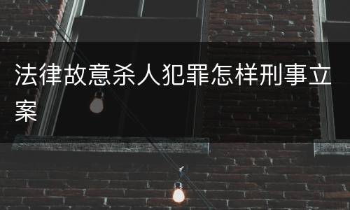 法律故意杀人犯罪怎样刑事立案