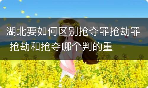 湖北要如何区别抢夺罪抢劫罪 抢劫和抢夺哪个判的重