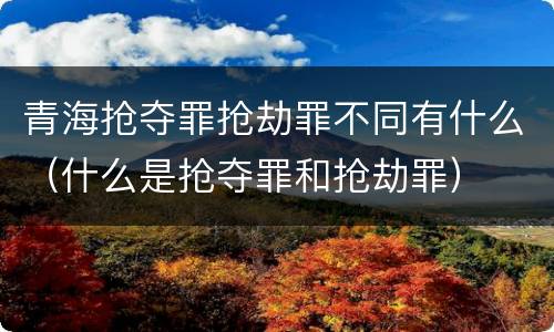青海抢夺罪抢劫罪不同有什么（什么是抢夺罪和抢劫罪）