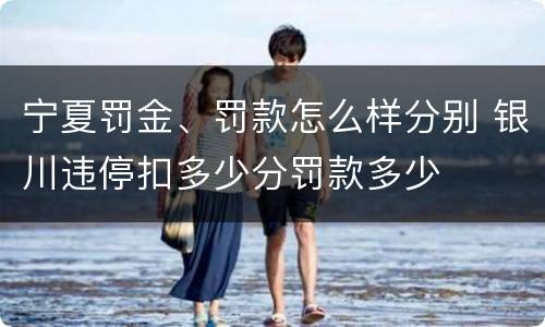 宁夏罚金、罚款怎么样分别 银川违停扣多少分罚款多少