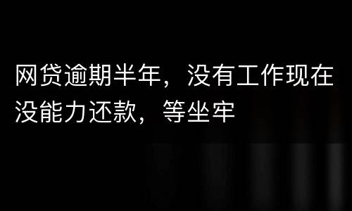 网贷逾期半年，没有工作现在没能力还款，等坐牢