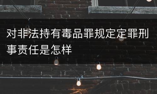 对非法持有毒品罪规定定罪刑事责任是怎样