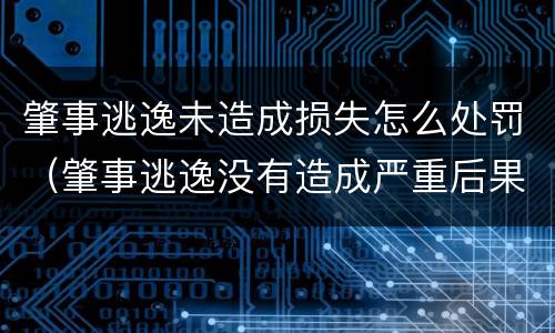 肇事逃逸未造成损失怎么处罚（肇事逃逸没有造成严重后果怎么处罚）