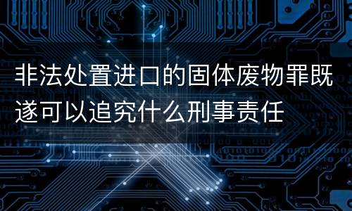 非法处置进口的固体废物罪既遂可以追究什么刑事责任