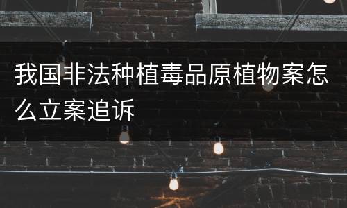 我国非法种植毒品原植物案怎么立案追诉