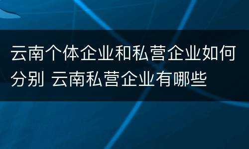 云南个体企业和私营企业如何分别 云南私营企业有哪些