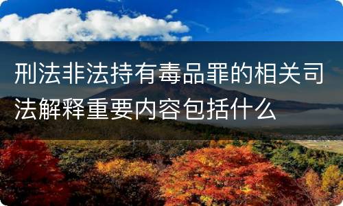 刑法非法持有毒品罪的相关司法解释重要内容包括什么