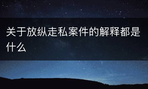 关于放纵走私案件的解释都是什么
