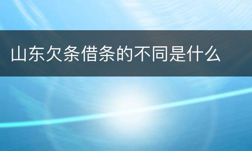 山东欠条借条的不同是什么