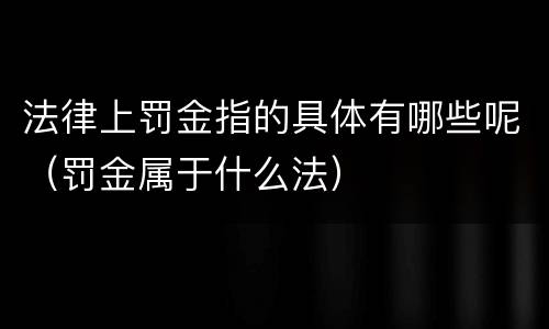 法律上罚金指的具体有哪些呢（罚金属于什么法）