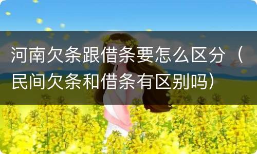 河南欠条跟借条要怎么区分（民间欠条和借条有区别吗）