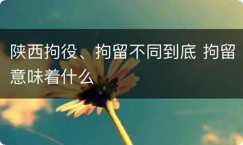 陕西拘役、拘留不同到底 拘留意味着什么